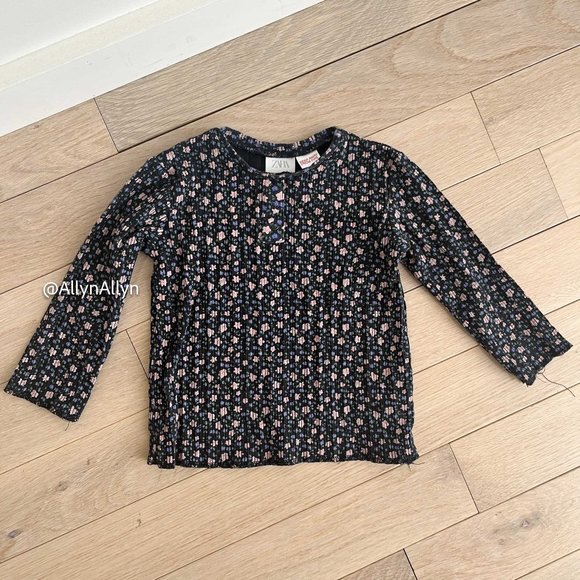 Zara Other - Zara 2-3T Toddler Floral Long Sleve Shirt